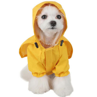 Here's The Problem Dogs in Raincoats